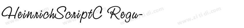 HeinrichScriptC Regu字体转换
